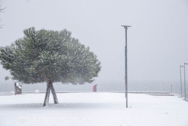 Κακοκαιρία: Σοβαρά προβλήματα από τις χιονοπτώσεις και τους θυελλώδεις ανέμους