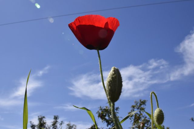 Με τι καιρό θα κάνουμε το τριήμερο της 25ης Μαρτίου