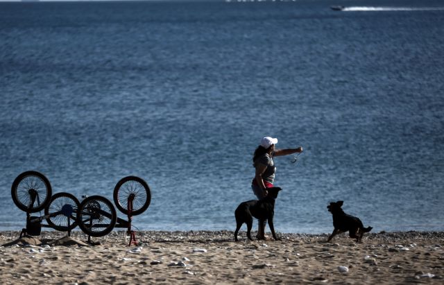 Τρελάθηκε ο καιρός, έρχεται η Άνοιξη αλλά πάλι για λίγο