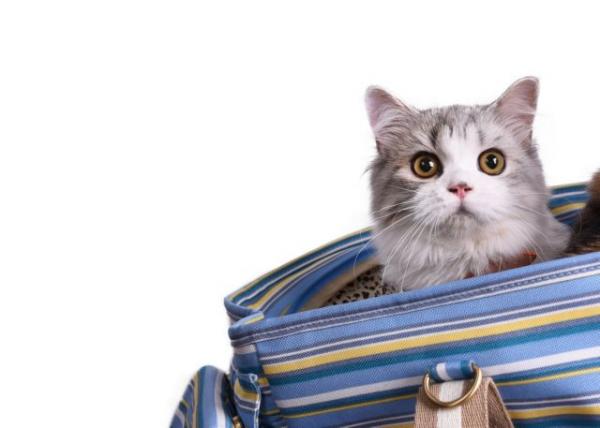 Τη βάφτισαν Brexit λόγω της συμπεριφοράς της