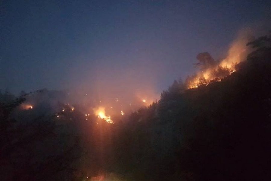 Λέσβος: Υπό πλήρη έλεγχο η δασική πυρκαγιά στην περιοχή Σίντα Μεγαλοχωρίου
