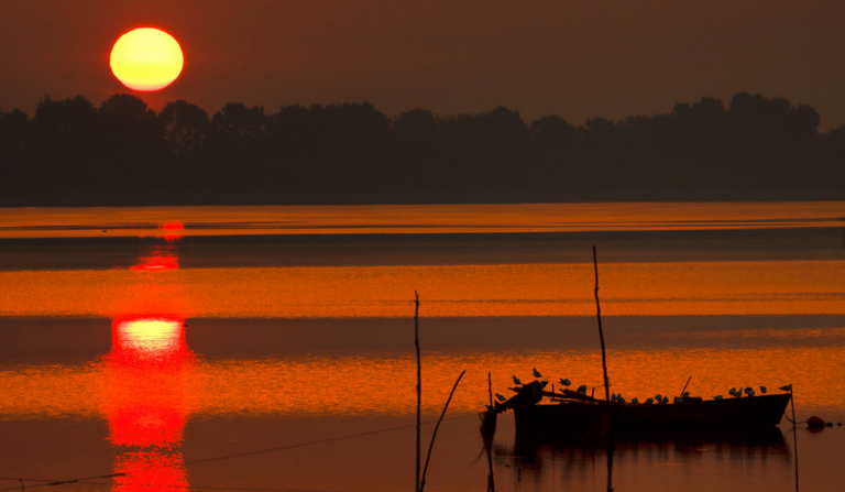 Κερκίνη – Ένα ζωντανό παράδειγμα αγαστής συνύπαρξης