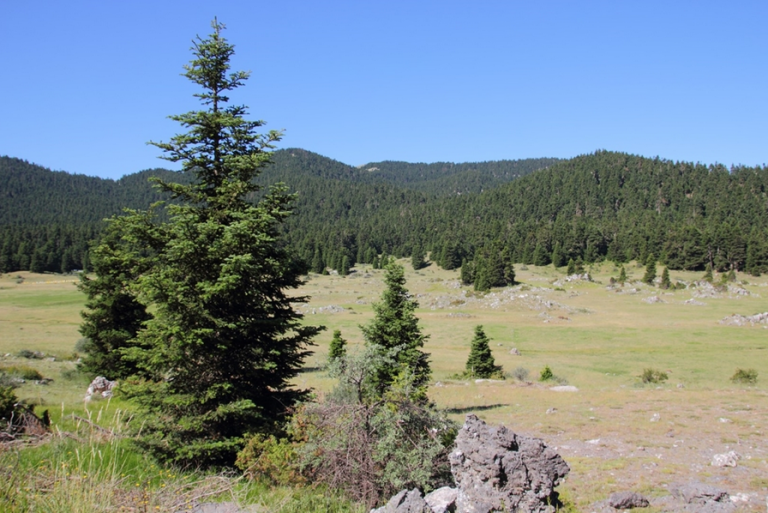 Αρκαδία : Η καρδιά της Πελοποννήσου
