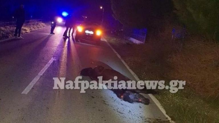 Τραυματίας σε σύγκρουση ΙΧ με άγριο άλογο στη Ναυπακτία