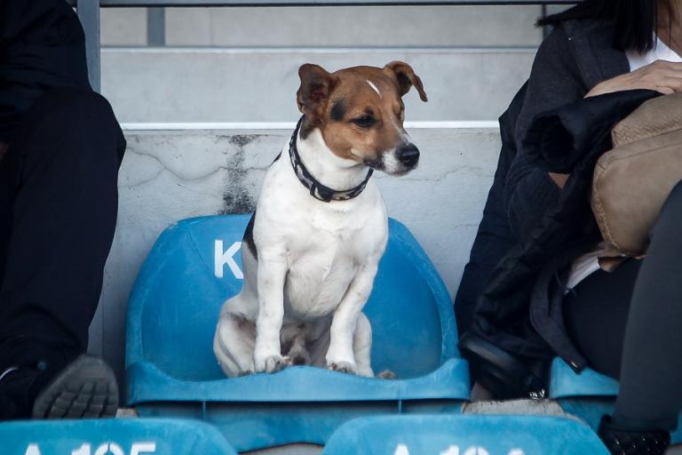 Ένας διαφορετικός… οπαδός στα Τρίκαλα