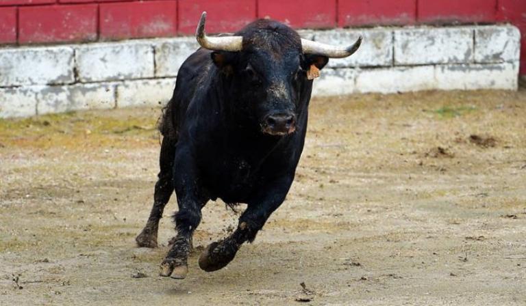 Βρήκε φρικτό θάνατο από επίθεση ταύρου στην Αρχαία Κόρινθο