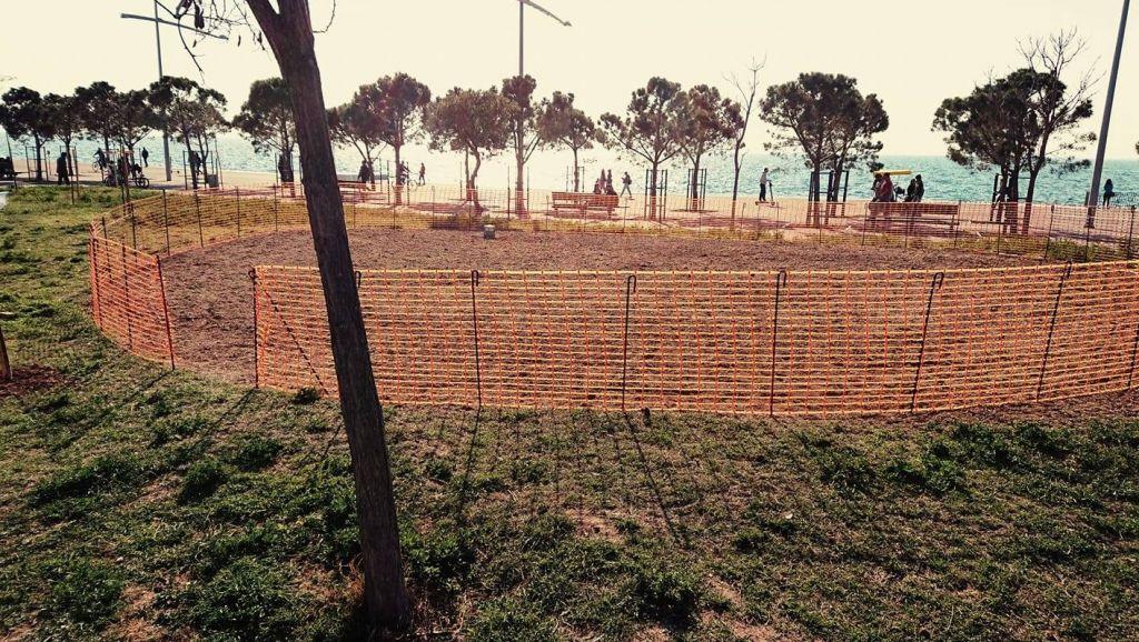 «Βόμβες» σπόρων για να μετατραπεί σε λιβάδι η παραλία Θεσσαλονίκης