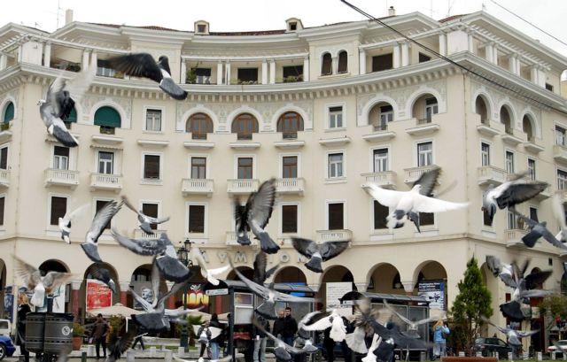 Θεσσαλονίκη: Tα περιστέρια στην κορυφή της λίστας παραπόνων των ενοικιαστών Airbnb