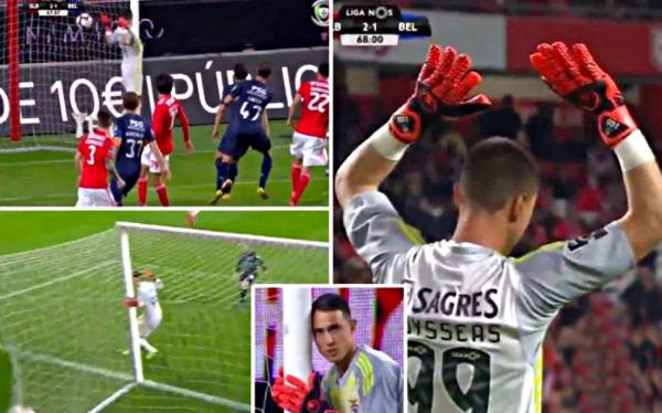 Το γύρο του κόσμου κάνει η ασύλληπτη γκέλα του Βλαχοδήμου