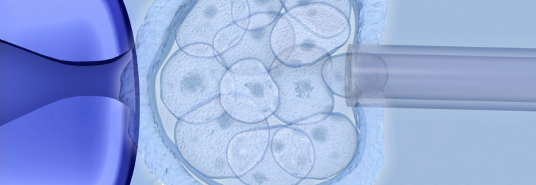 Υποβοηθούμενη αναπαραγωγή: Η δυνατότητα απόκτησης υγιών παιδιών μέσω της προεμφυτευτικής γενετικής διάγνωσης