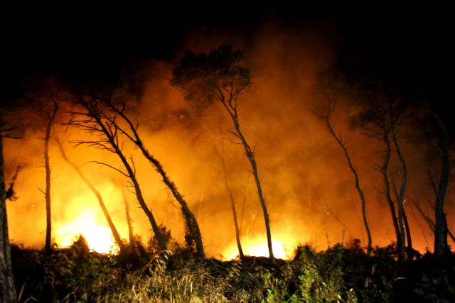 Μαίνεται το πύρινο μέτωπο στο προστατευόμενο δάσος της Στροφυλιάς – Εικόνες καταστροφής