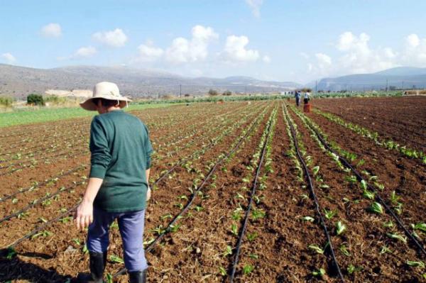 «Μπλόκο» σε 5,5 τόνους κηπευτικών στον Πειραιά