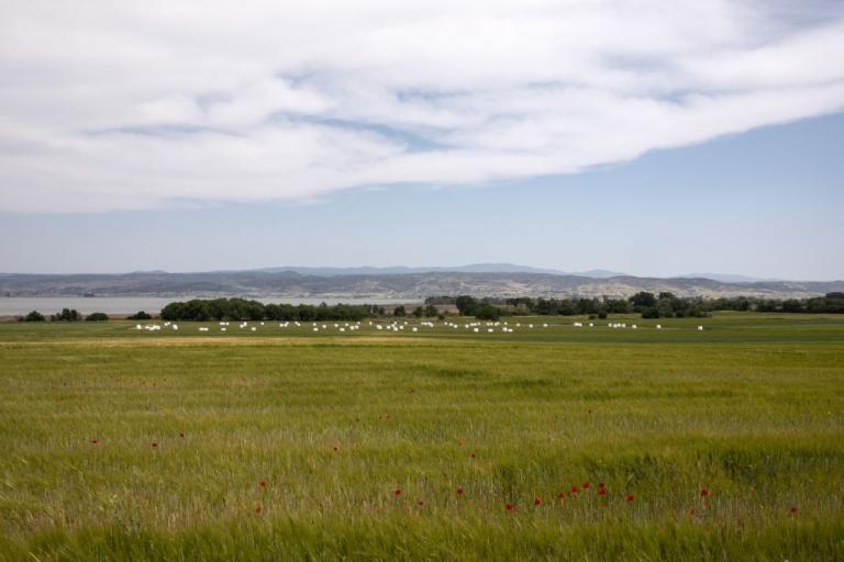 Καιρός: Μικρή άνοδος της θερμοκρασίας – Που θα βρέξει