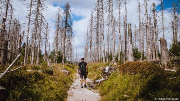 Ξηρασία απειλεί τη Γερμανία