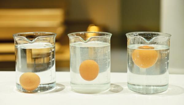 Πασχαλινά… πειράματα στο Ίδρυμα Ευγενίδου