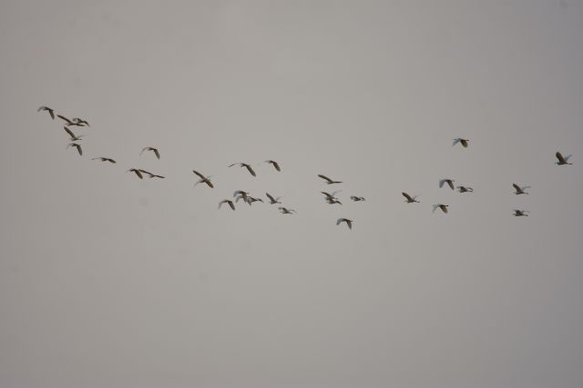 Άστατος καιρός με βροχές και καταιγίδες
