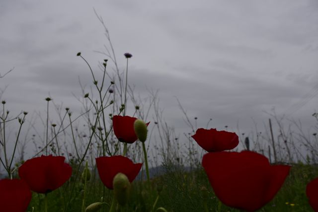 Καιρός: Αφρικανική σκόνη και συννεφιά – Που θα βρέξει