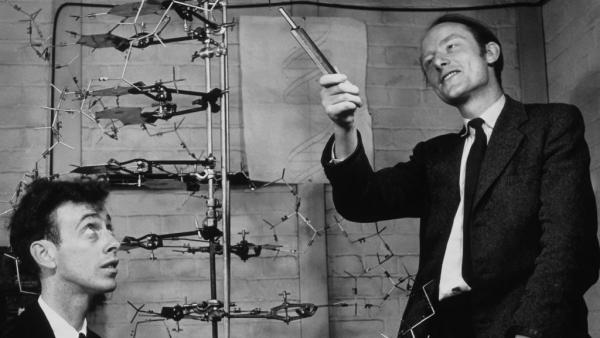 DNA: 66 χρόνια από τη μεγαλύτερη επιστημονική ανακάλυψη του 20ού αι.