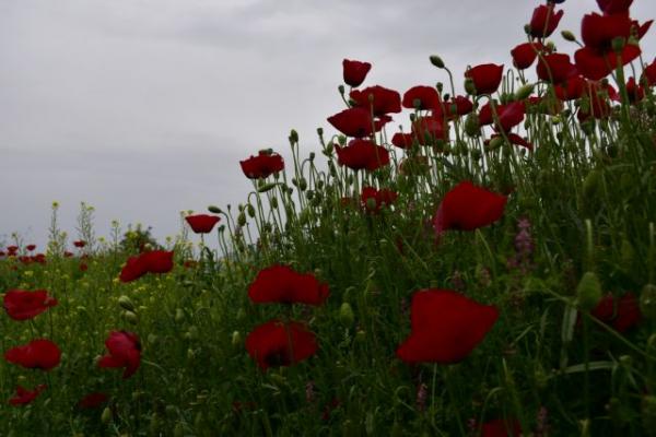 Καιρός – Δείτε πώς θα κάνουμε Επιτάφιο, Ανάσταση και Πάσχα