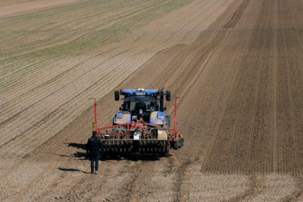 EY: Μονόδρομος για την αγροτική βιομηχανία ο μετασχηματισμός