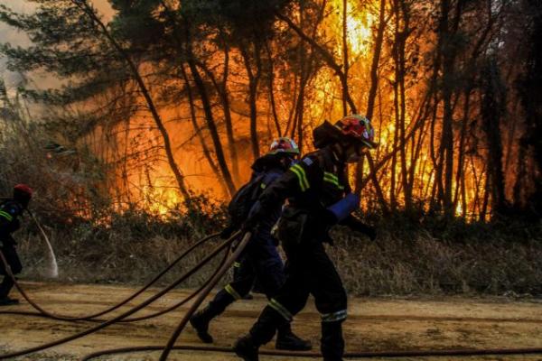 Εικόνες καταστροφής στο δάσος της Στροφυλιάς – Κάηκαν πάνω από 2.000 στρέμματα