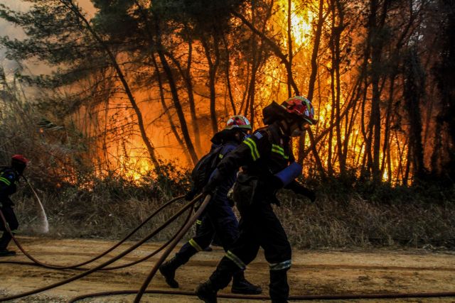 Εικόνες καταστροφής στο δάσος της Στροφυλιάς - Κάηκαν πάνω από 2.000 στρέμματα