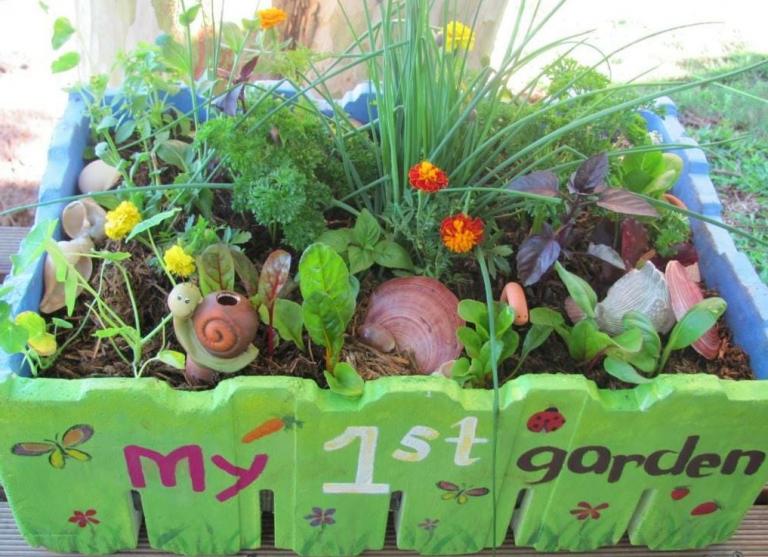 Μελισσόκηποι στα μπαλκόνια μας για τη διάσωση της μέλισσας