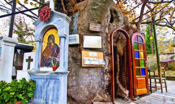 Ένα ονειρικό εκκλησάκι κρυμμένο στην αγκαλιά υπεραιωνόβιων πλατάνων