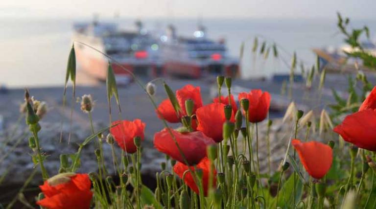 Καιρός: Τι να περιμένουμε τη Μεγάλη Εβδομάδα και το Πάσχα – Πού μπορεί να βρέχει την Κυριακή