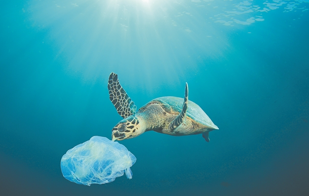 Κουτιά αλουμινίου, πλαστικά μπουκάλια και σακούλες τα μισά απορρίμματα στις θάλασσές μας