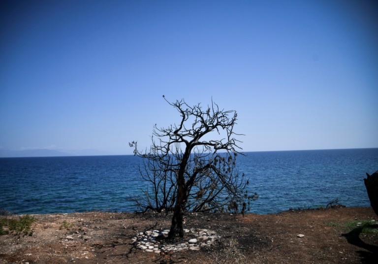 Η αξία και η δύναμη της συγγνώμης