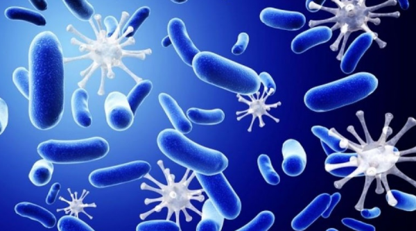 Μεγαλύτερος ο κίνδυνος προσβολής από βακτήρια ανθεκτικά στα αντιβιοτικά για όσους διαμένουν σε ξενοδοχεία