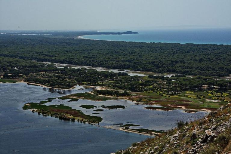 Δάσος Στροφυλιάς: Το μοναδικό οικοσύστημα που χάνεται από την πυρκαγιά