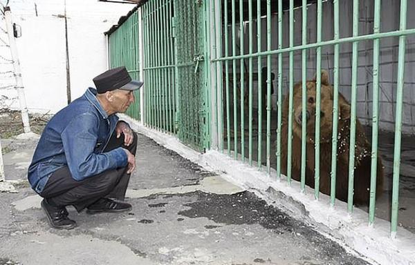 Πρωτοφανές: Ισοβίτισσα… αρκούδα εκτίει την ποινή της με βαρυποινίτες