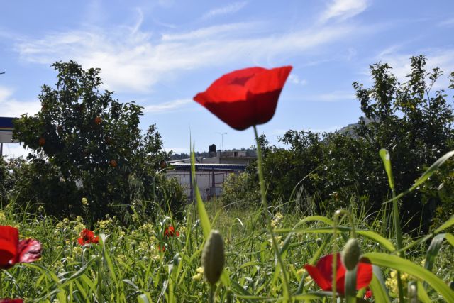 Καιρός Πάσχα: Mε τι καιρό θα σουβλίσουμε αρνί