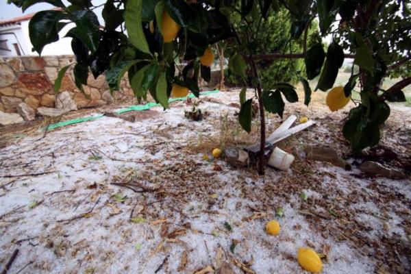 Ημαθία: Σοβαρές ζημιές σε αγροτικές καλλιέργειες λόγω χαλαζόπτωσης