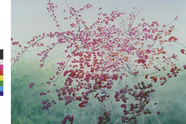 Nicholas Egon: 22 άνθη για το Μουσείο Μπενάκη