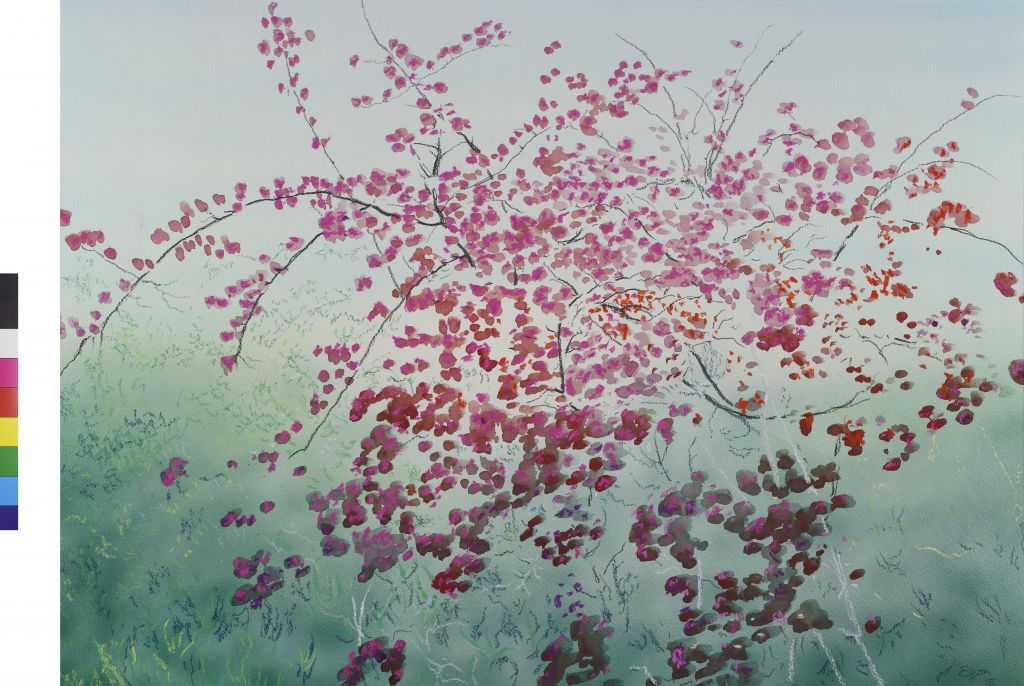 Nicholas Egon: 22 άνθη για το Μουσείο Μπενάκη