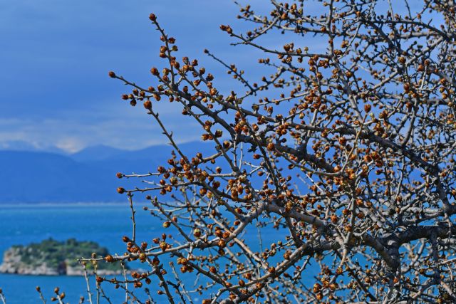 Βελτιωμένος ο καιρός – Η θερμοκρασία σε άνοδο