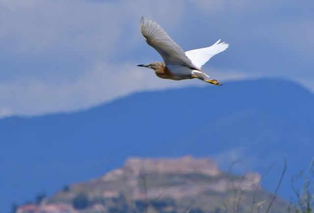 Με καλοκαιρινό καιρό στις κάλπες οι Έλληνες