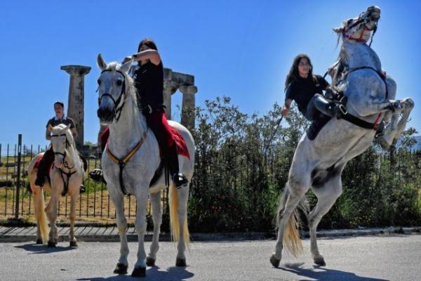 Ο άνθρωπος άλλαξε (ακόμα και) τα άλογα
