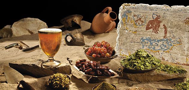 Μπίρα των Φαραώ: Αναβίωση ποτού με μαγιά ηλικίας 3.000 ετών