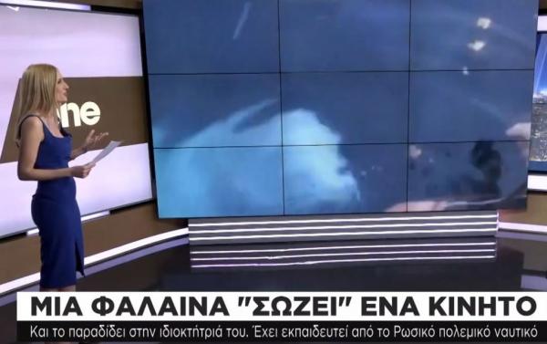 Φάλαινα επιστρέφει κινητό που έπεσε στην θάλασσα