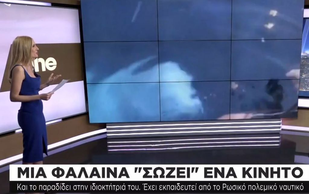 Φάλαινα επιστρέφει κινητό που έπεσε στην θάλασσα