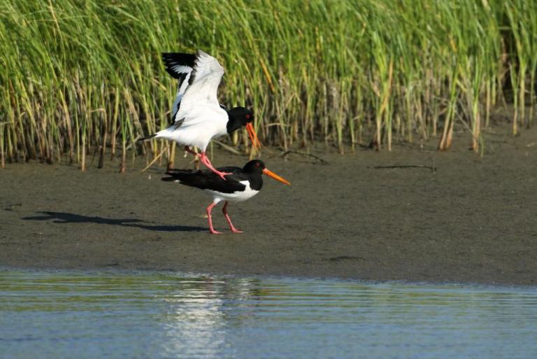 Εβρος : Γιατί τοποθέτησαν αισθητήρες εδάφους στο Δέλτα