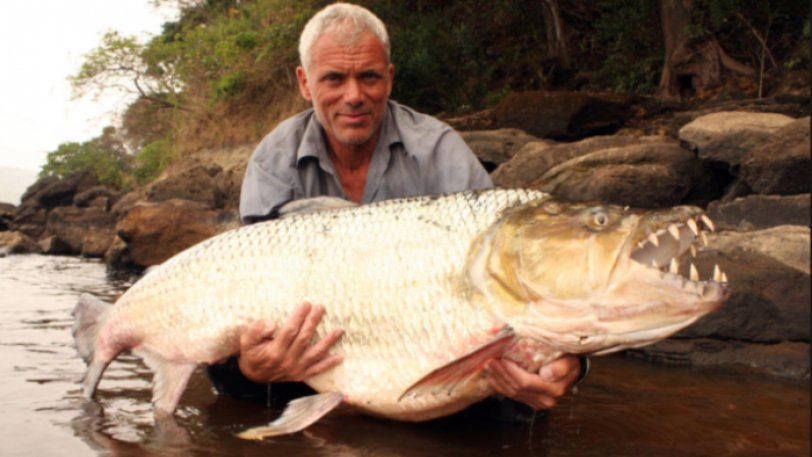 «Τίγρης-γολιάθ»: Δείτε το πιο τρομακτικό ψάρι στον κόσμο