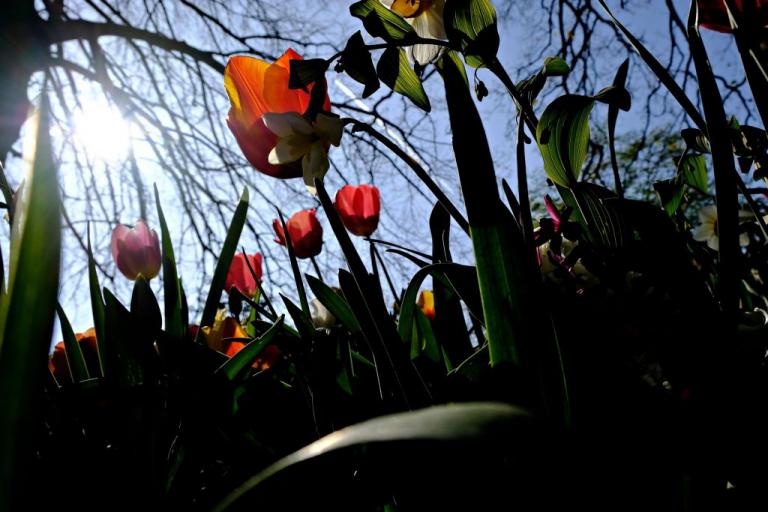 Ζέστη και συννεφιά τη Δευτέρα – Αναλυτική πρόγνωση καιρού