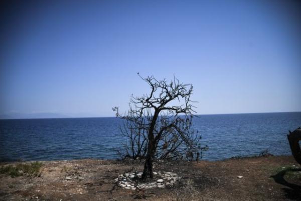 Στο υπ. Περιβάλλοντος σήμερα οι πυρόπληκτοι από το Μάτι