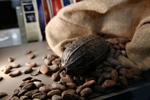 Αλαλούμ με τον ΦΠΑ: Κακάο στο 13% στο σουπερμάρκετ, στην καφετέρια 24%