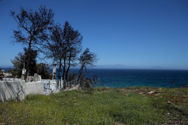 Ανοχύρωτη χώρα